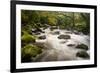 River Plym Flowing Fast Through Dewerstone Wood, Shaugh Prior, Dartmoor Np Devon, UK, October-Ross Hoddinott-Framed Photographic Print