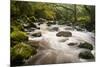 River Plym Flowing Fast Through Dewerstone Wood, Shaugh Prior, Dartmoor Np Devon, UK, October-Ross Hoddinott-Mounted Photographic Print