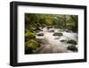 River Plym Flowing Fast Through Dewerstone Wood, Shaugh Prior, Dartmoor Np Devon, UK, October-Ross Hoddinott-Framed Photographic Print