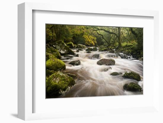 River Plym Flowing Fast Through Dewerstone Wood, Shaugh Prior, Dartmoor Np Devon, UK, October-Ross Hoddinott-Framed Photographic Print