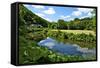 River Rance Banks, Dinan, Brittany, France, Europe-Guy Thouvenin-Framed Stretched Canvas