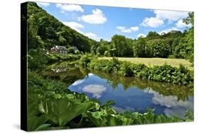 River Rance Banks, Dinan, Brittany, France, Europe-Guy Thouvenin-Stretched Canvas