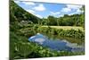 River Rance Banks, Dinan, Brittany, France, Europe-Guy Thouvenin-Mounted Photographic Print