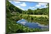 River Rance Banks, Dinan, Brittany, France, Europe-Guy Thouvenin-Mounted Photographic Print