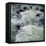 River Rapids-null-Framed Stretched Canvas