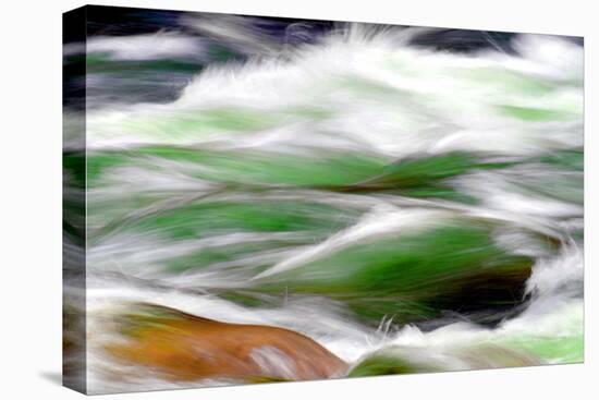 River Rapids-Douglas Taylor-Stretched Canvas