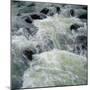 River Rapids-null-Mounted Photographic Print