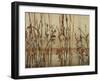 River Reed I-Farrell Douglass-Framed Giclee Print