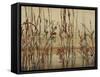 River Reed I-Farrell Douglass-Framed Stretched Canvas