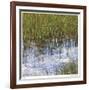 River Reeds I-Joy Doherty-Framed Giclee Print