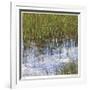 River Reeds I-Joy Doherty-Framed Giclee Print