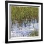 River Reeds I-Joy Doherty-Framed Giclee Print