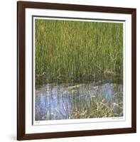 River Reeds II-Joy Doherty-Framed Giclee Print