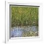 River Reeds II-Joy Doherty-Framed Giclee Print