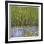 River Reeds II-Joy Doherty-Framed Giclee Print