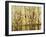 River Reeds II-Farrell Douglass-Framed Giclee Print