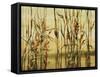 River Reeds II-Farrell Douglass-Framed Stretched Canvas