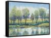 River Reflection I-Tim OToole-Framed Stretched Canvas