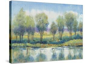 River Reflection I-Tim OToole-Stretched Canvas