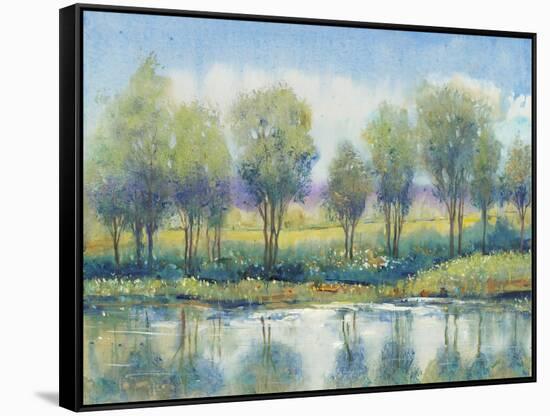 River Reflection I-Tim OToole-Framed Stretched Canvas