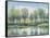 River Reflection I-Tim OToole-Framed Stretched Canvas