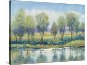 River Reflection I-Tim OToole-Stretched Canvas
