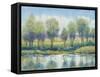 River Reflection I-Tim OToole-Framed Stretched Canvas