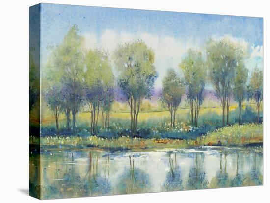 River Reflection I-Tim OToole-Stretched Canvas