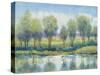 River Reflection I-Tim OToole-Stretched Canvas