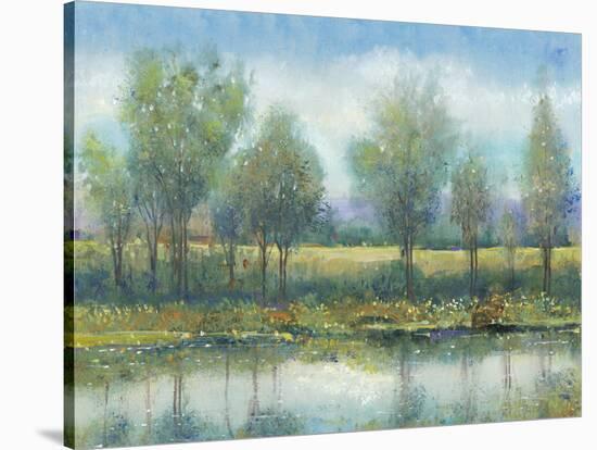 River Reflection II-Tim OToole-Stretched Canvas