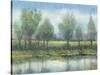 River Reflection II-Tim OToole-Stretched Canvas