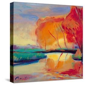 River Reflections-Gerry Baptist-Stretched Canvas