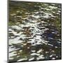 River Reflections-Margaret Juul-Mounted Giclee Print