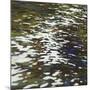 River Reflections-Margaret Juul-Mounted Art Print