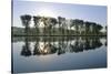 River Rhine Near Xanten, North Rhine-Westphalia (Nordrhein-Westfalen), Germany, Europe-Hans Peter Merten-Stretched Canvas