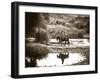 River Ride-Barry Hart-Framed Giclee Print