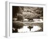 River Ride-Barry Hart-Framed Giclee Print