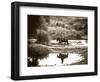 River Ride-Barry Hart-Framed Art Print