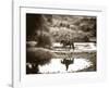 River Ride-Barry Hart-Framed Art Print