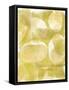 River Rock VI-Jennifer Goldberger-Framed Stretched Canvas