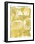 River Rock VI-Jennifer Goldberger-Framed Art Print