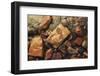 River rocks naturally polished in Lower Deschutes River, Central Oregon, USA-Stuart Westmorland-Framed Photographic Print