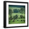 River Ruhr Valley, Germany-null-Framed Art Print