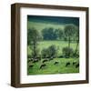 River Ruhr Valley, Germany-null-Framed Art Print