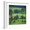 River Ruhr Valley, Germany-null-Framed Art Print