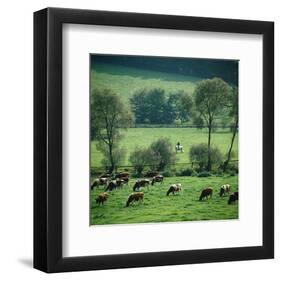 River Ruhr Valley, Germany-null-Framed Art Print