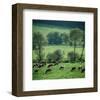 River Ruhr Valley, Germany-null-Framed Art Print