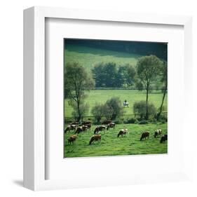 River Ruhr Valley, Germany-null-Framed Art Print