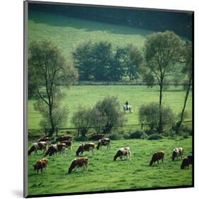 River Ruhr Valley, Germany-null-Mounted Art Print