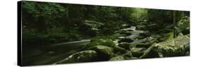 River Running Through a Forest, Cosby Creek, Great Smoky Mountains National Park, Tennessee, USA-null-Stretched Canvas